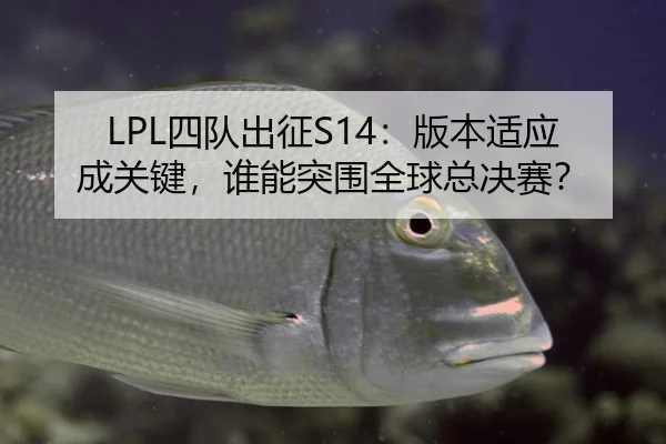 LPL四队出征S14：版本适应成关键，谁能突围全球总决赛？