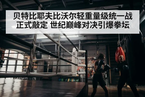 boxer training
