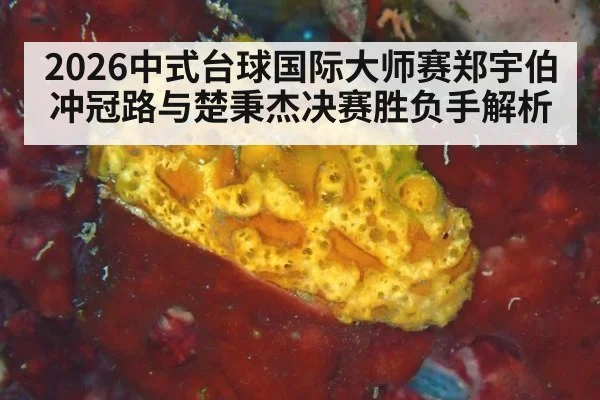 2026中式台球国际大师赛郑宇伯冲冠路与楚秉杰决赛胜负手解析